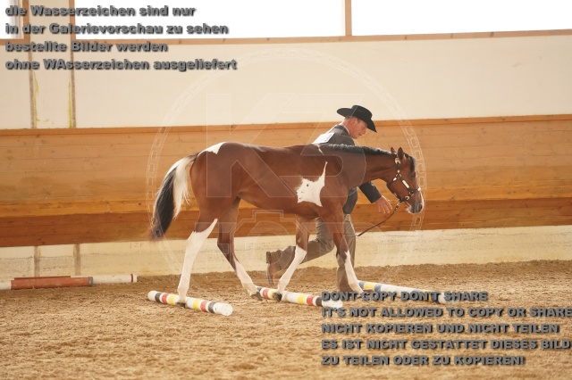 s_A_901125.JPG
